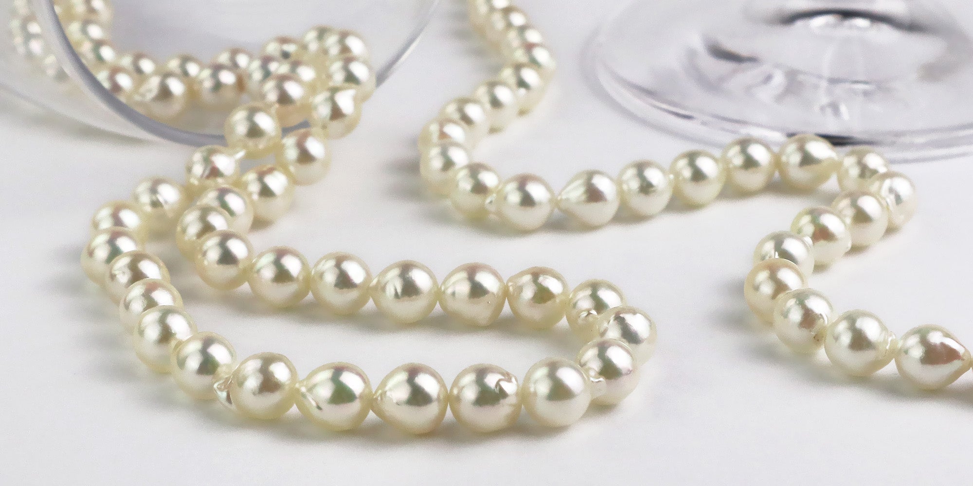 9月1日よりアンケートにご協力いただいたお客様を対象にプレゼントキャンペーンを開催いたします