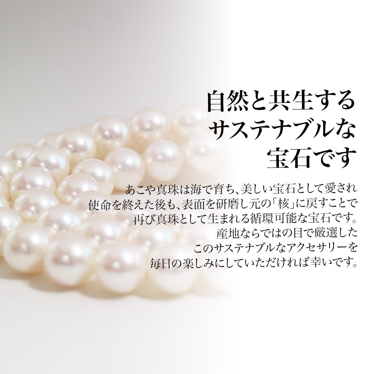 あこや真珠 ピアス パール キャッチ【4.0-4.5mm & 8.0-8.5mm】K18G K18WG 無料プレゼント付 保管用グレーケース付