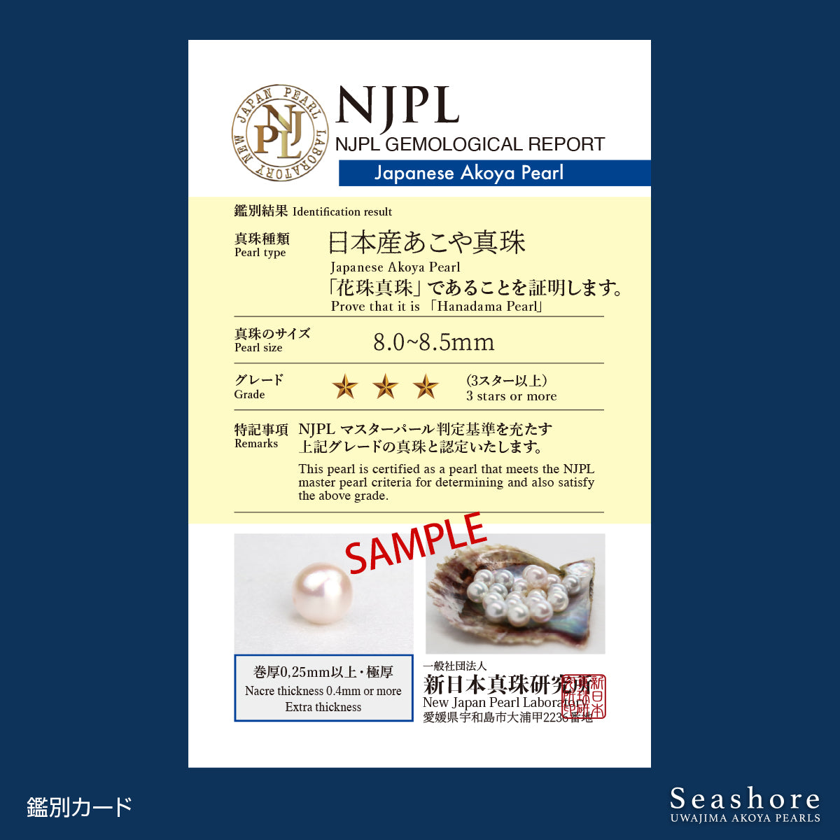 花珠真珠 一粒 スルー ネックレス 8.0-8.5mm【チェーン 3色展開】 K18G / K18PG / K18WG 0.45φ ベネチアンチェーン あこや真珠 厚紙製保管用ケース付 3S