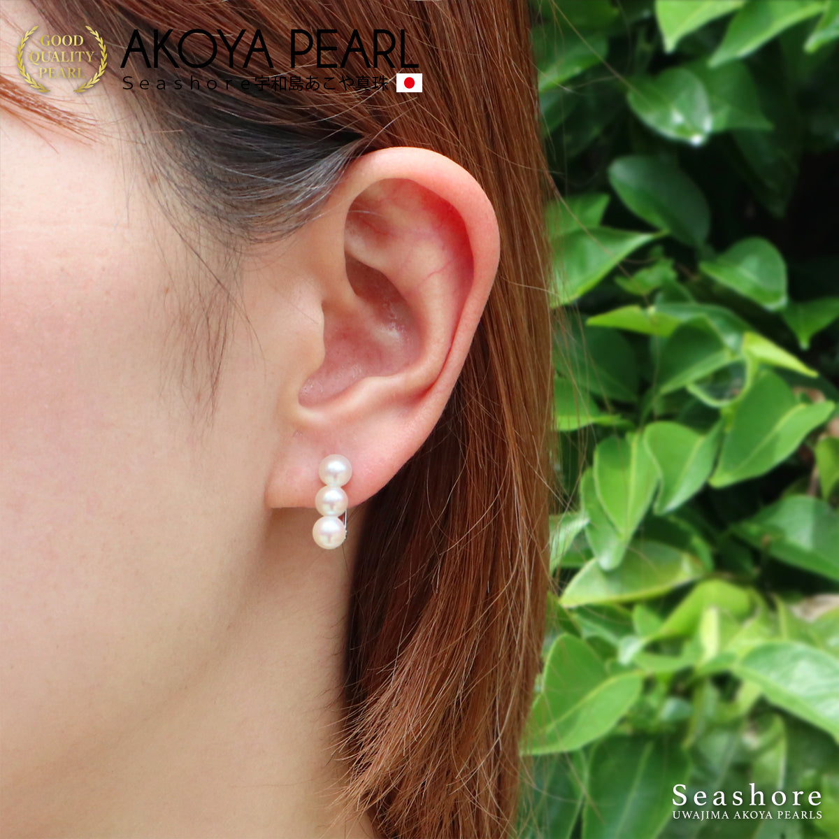 White Akoya Baby Pearl 3-Pearl Earrings, 5.0-5.5mm, SV925, Uwajima Akoya Pearl, with Storage Case (5599)