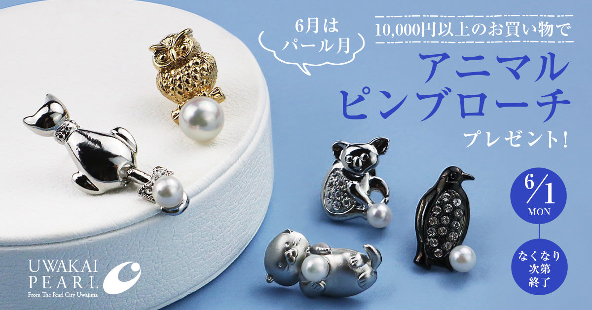 6月ノベルティプレゼントキャンペーン開催のおしらせ