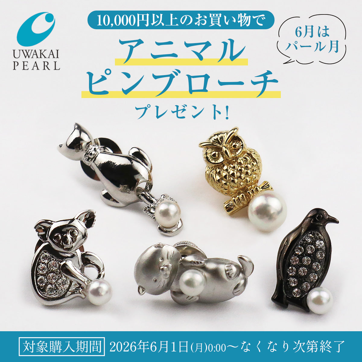 アコヤ真珠 一粒ネックレス ブルー グレー K10YG イエローゴールド