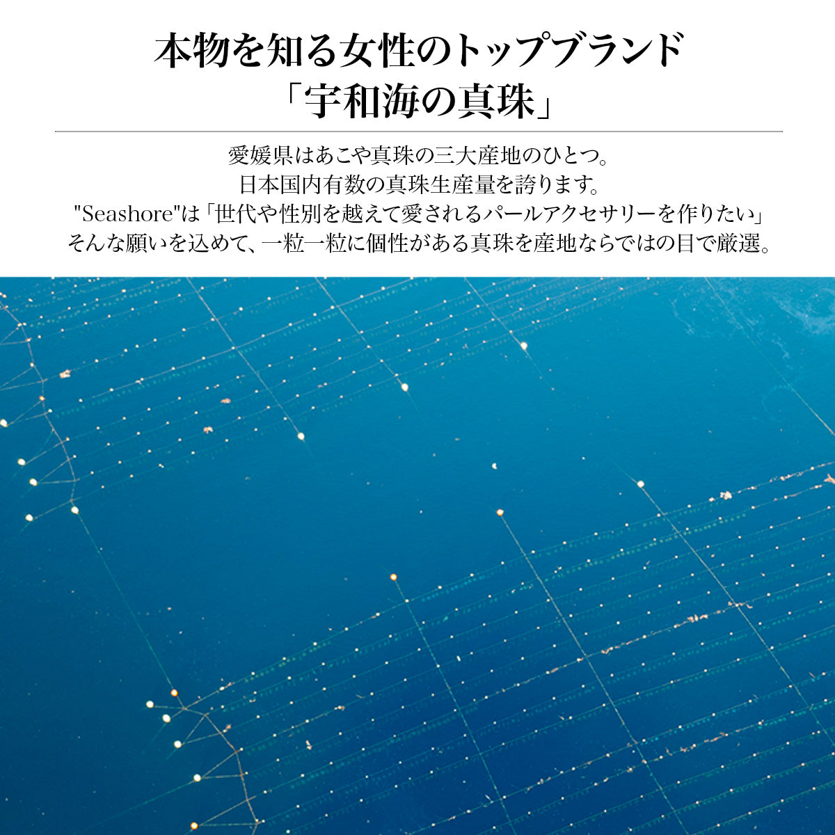 あこや真珠 ピアス パール キャッチ【4.0-4.5mm ＆ 8.0-8.5mm】K18G K18WG 無料プレゼント付 保管用グレーケース付