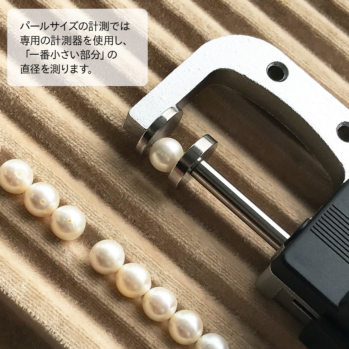 Akoya 珍珠项链 [8.0-9.0mm] SV925 白金饰面威尼斯链珍珠配件