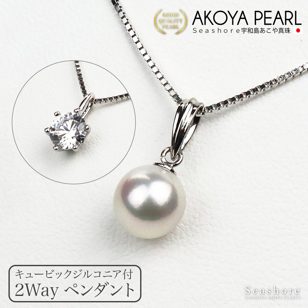 pnd-pw8580ls-svwzr_012.jpg?v= 